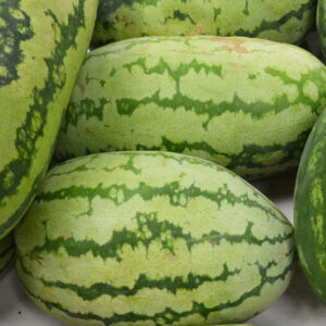 watermelon__86247_apple_valley_local_flowers_and_gifts